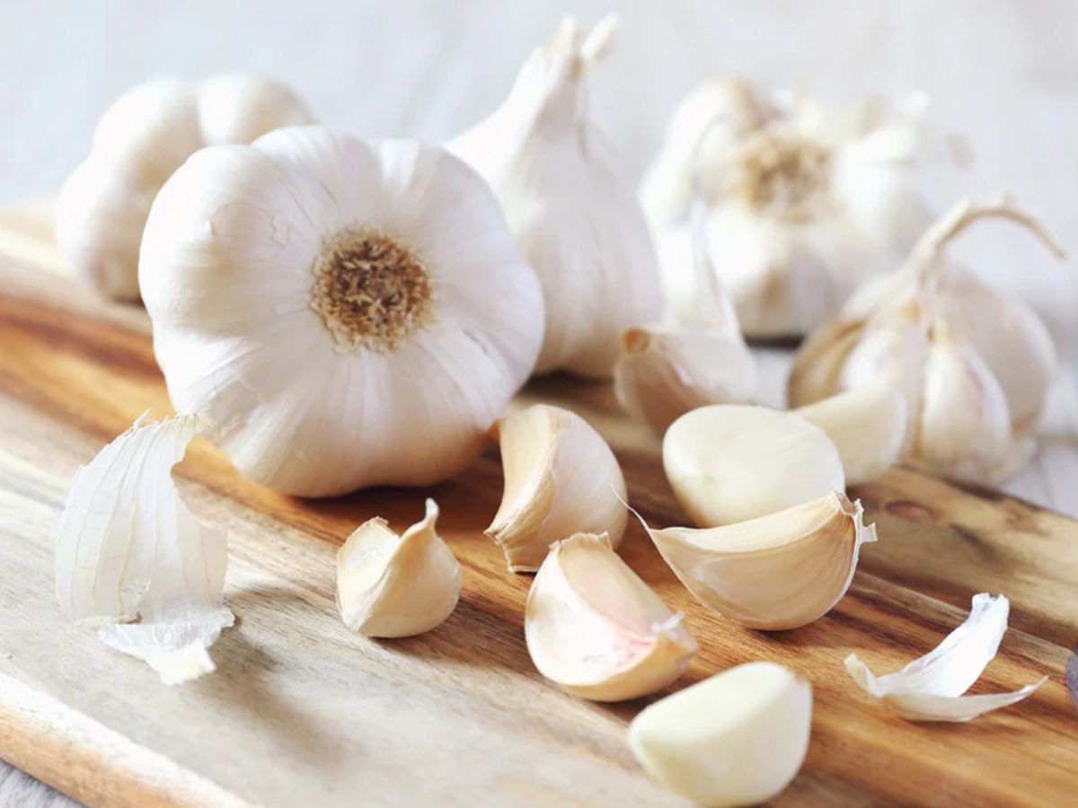 7-ayurvedic-herbs-for-a-strong-healthy-heart 7 Ayurvedic Herbs for a Strong & Healthy Heart - Photo Gallery