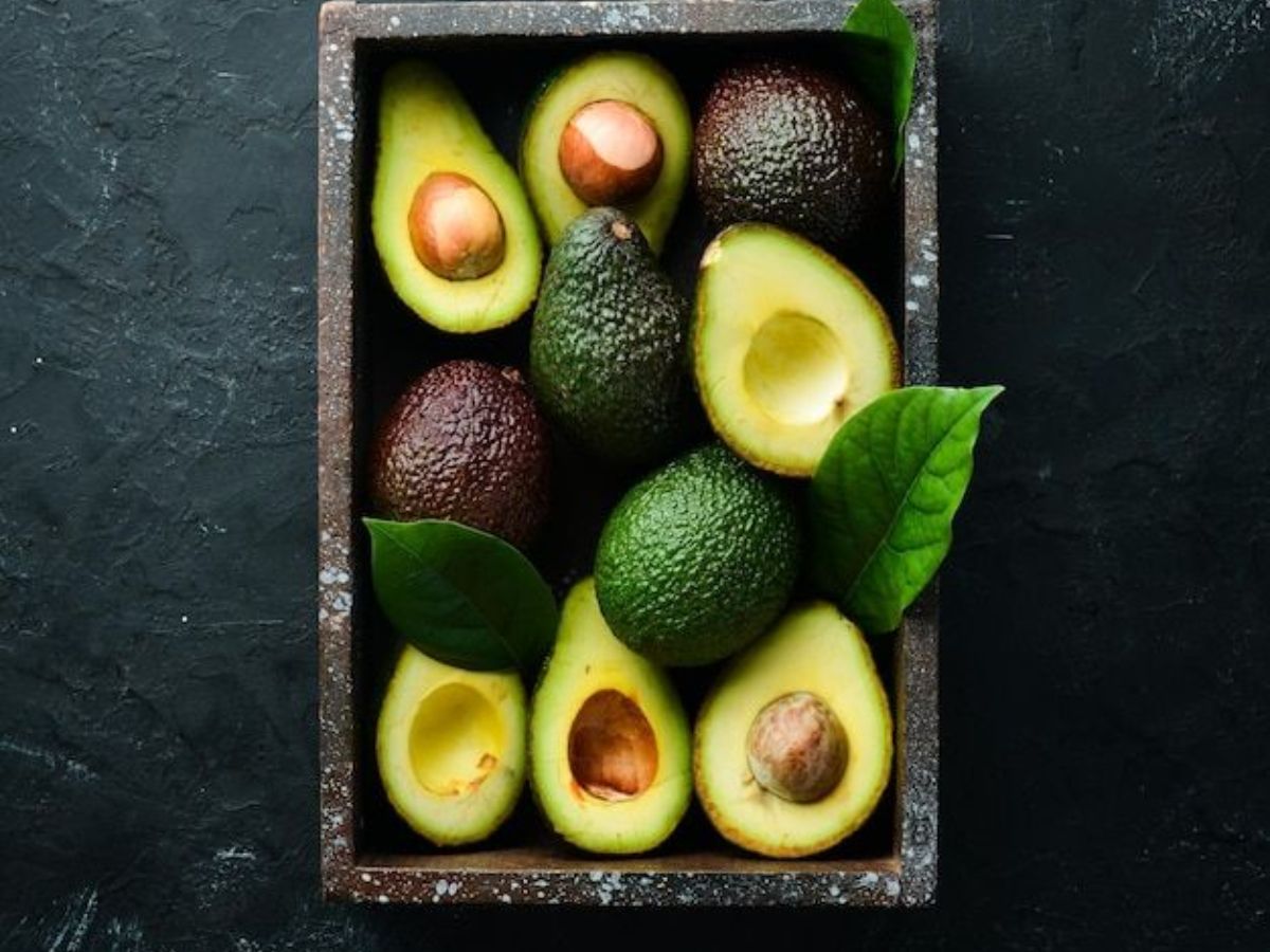 dont-toss-the-seeds-grow-avocado-tree-at-home-in-8-easy-steps Avocado Obsessed? Grow Avocado Tree At Home in 8 Easy Steps - Photo Gallery