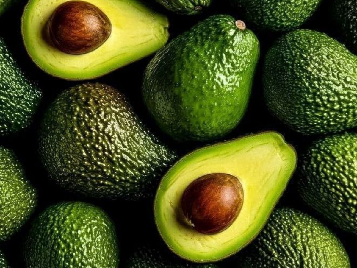 dont-toss-the-seeds-grow-avocado-tree-at-home-in-8-easy-steps Avocado Obsessed? Grow Avocado Tree At Home in 8 Easy Steps - Photo Gallery