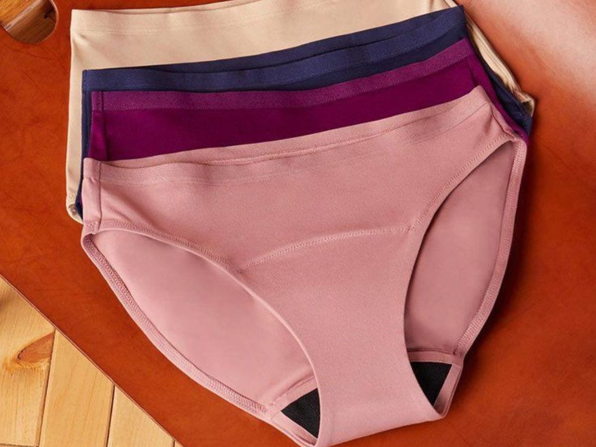 tired-of-throwing-bins-full-of-plastic-sanitary-napkins-every-month-here-are-7-eco-friendly-alternatives-in-pics Period Panties - Photo Gallery