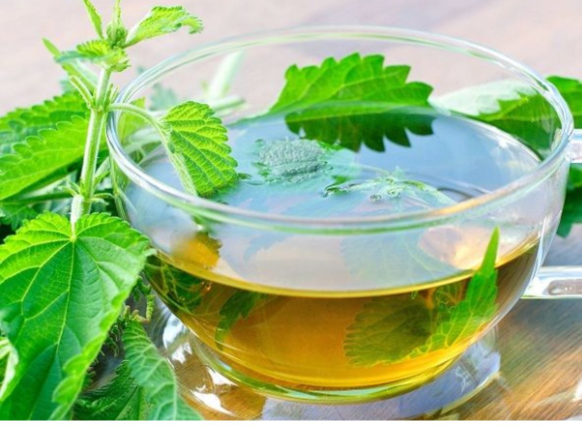 homemade-morning-drinks-to-boost-energy-immunity-and-kickstart-your-day-naturally Homemade Morning Drinks To Boost Energy Immunity And Kickstart Your Day Naturally - Photo Gallery