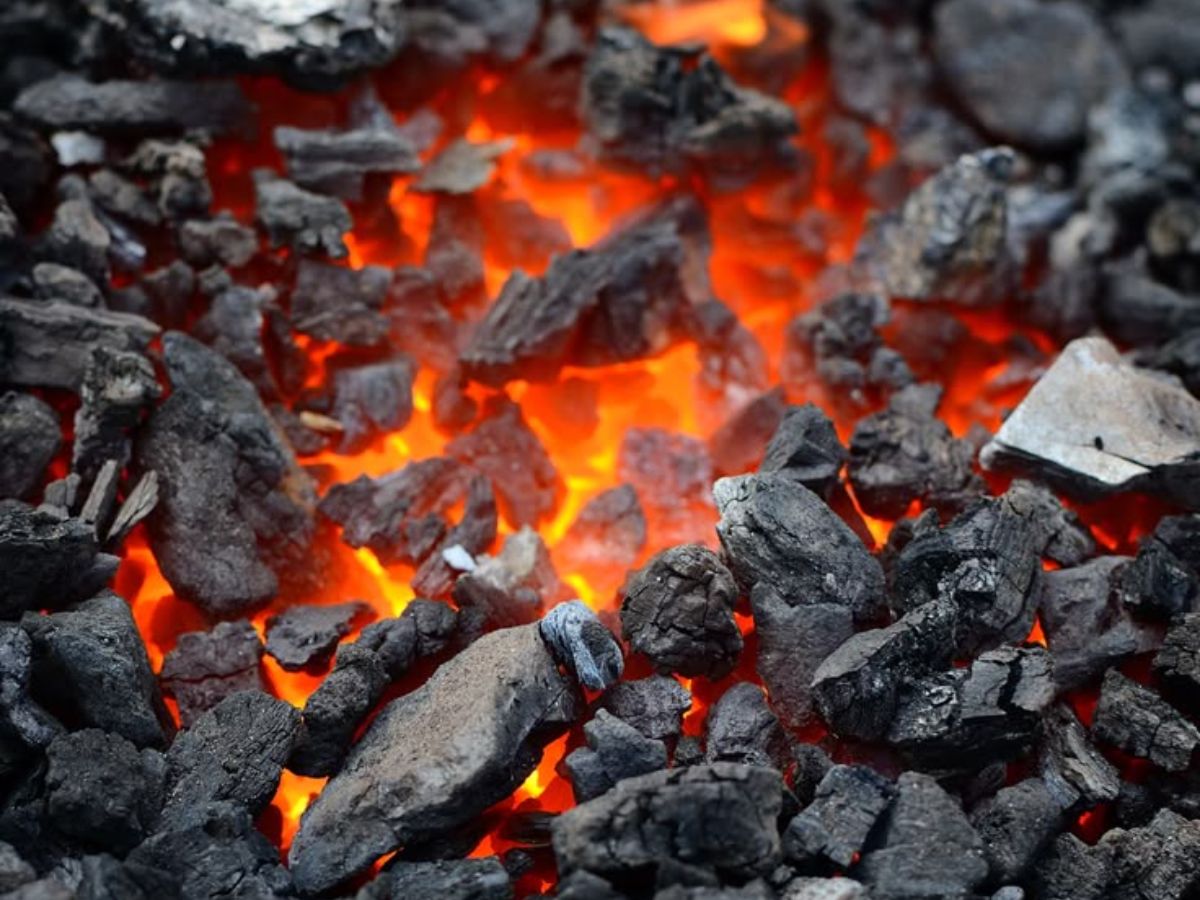 top-6-natural-resources-without-which-humans-can-not-exist Top 6 Natural Resources Without Which Humans Can Not Exist - Photo Gallery
