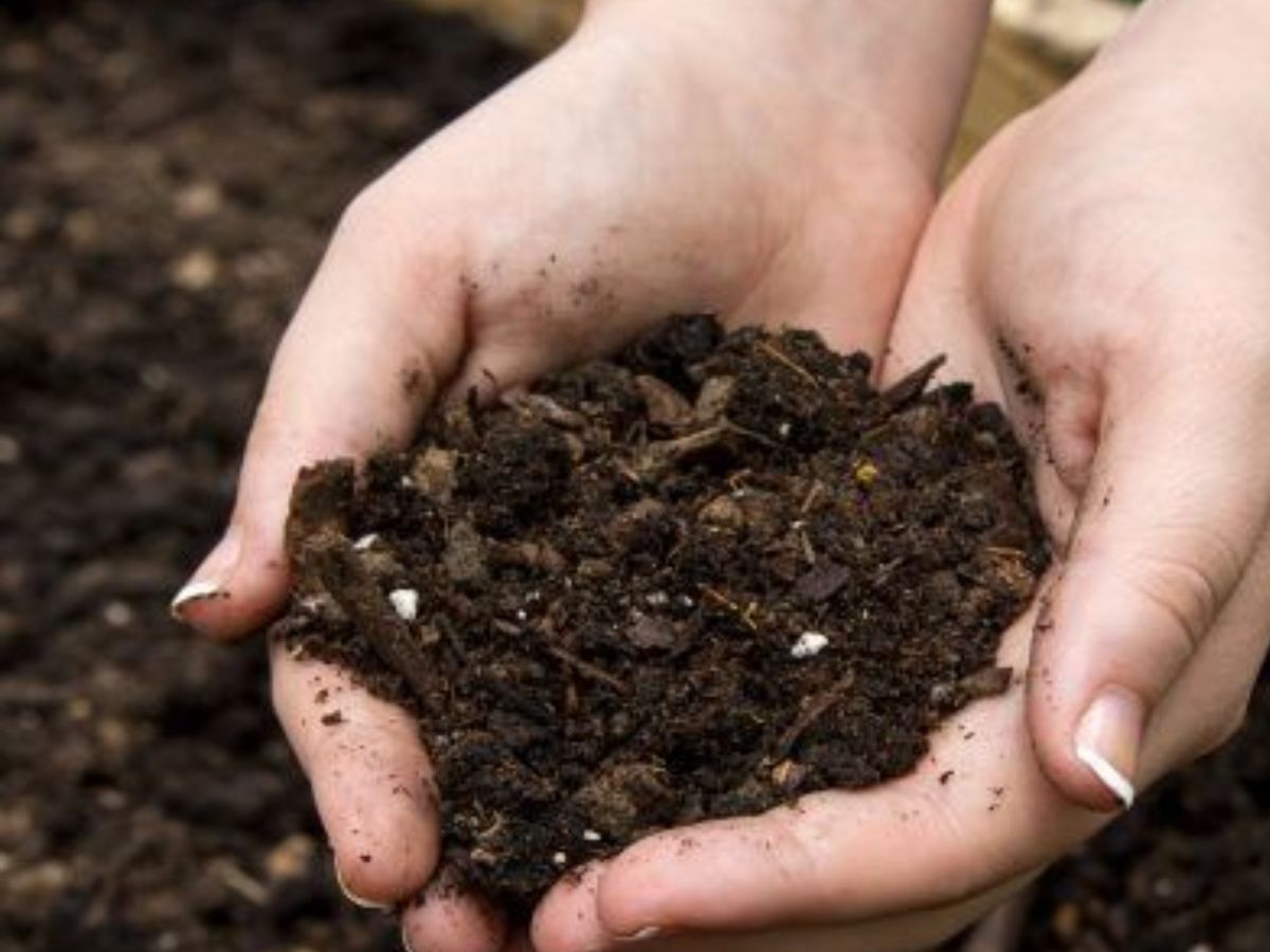 top-6-natural-resources-without-which-humans-can-not-exist Top 6 Natural Resources Without Which Humans Can Not Exist - Photo Gallery