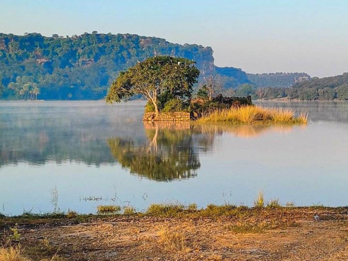 here-are-the-top-10-national-parks-in-india-one-must-visit-atleast-once-in-their-life-in-pics Ranthambore National Park – Rajasthan(Image Credit - Ovi Patankar Basu) - Photo Gallery