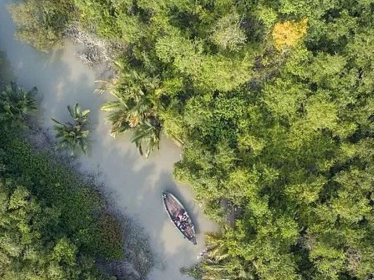here-are-the-top-10-national-parks-in-india-one-must-visit-atleast-once-in-their-life-in-pics Sundarbans National Park – West Bengal(Image Credit - Pinterest) - Photo Gallery