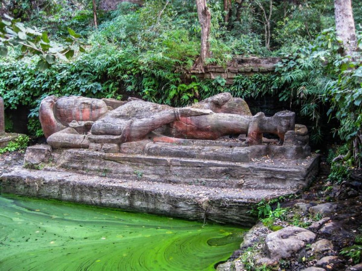 here-are-the-top-10-national-parks-in-india-one-must-visit-atleast-once-in-their-life-in-pics Bandavgarh National Park- Madhya Pradesh(Image Credit- Pinterest) - Photo Gallery