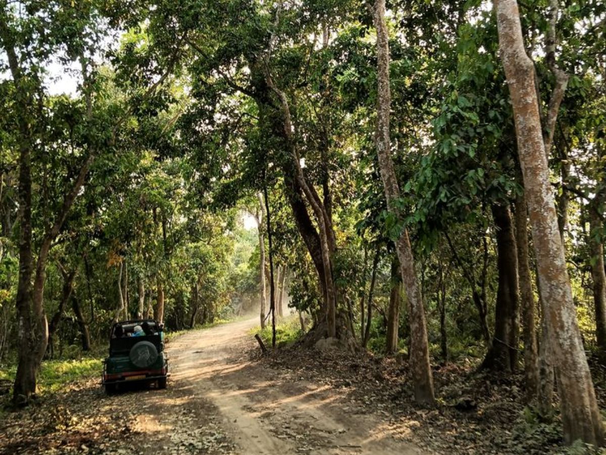 here-are-the-top-10-national-parks-in-india-one-must-visit-atleast-once-in-their-life-in-pics Kaziranga National Park – Assam - Photo Gallery