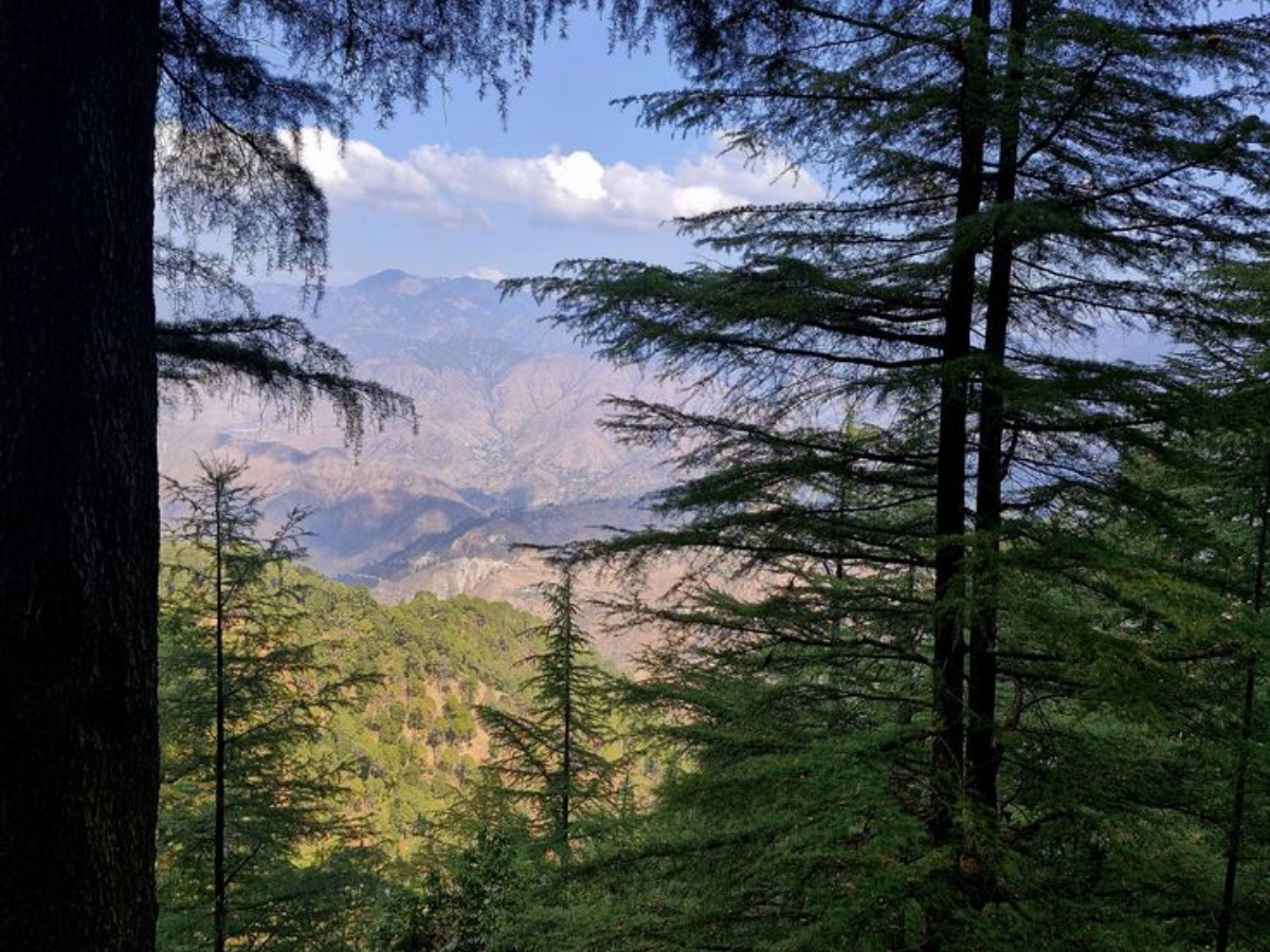 planning-a-trip-to-mussoorie-here-are-five-places-you-cant-miss Lal Tibba Scenic Point (Image Credit: Pinterest) - Photo Gallery