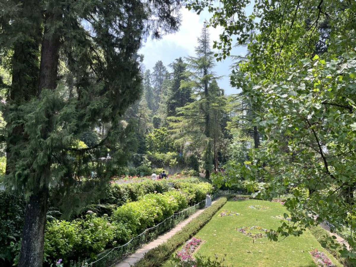 planning-a-trip-to-mussoorie-here-are-five-places-you-cant-miss Company Garden (Image Credit: Pinterest) - Photo Gallery
