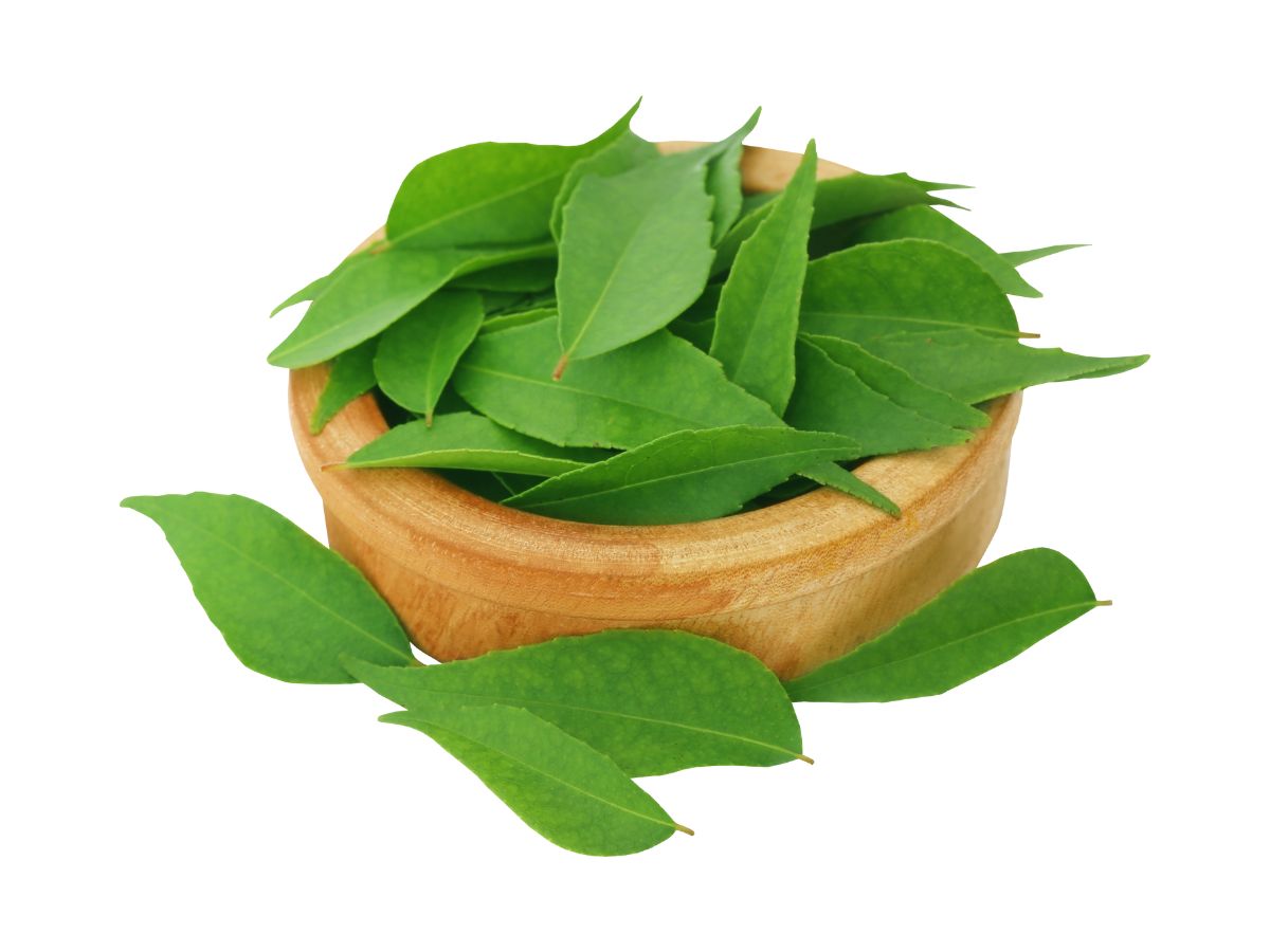 5 Easy and Natural Ways to Prevent Premature Greying of Hair - Photo Gallery