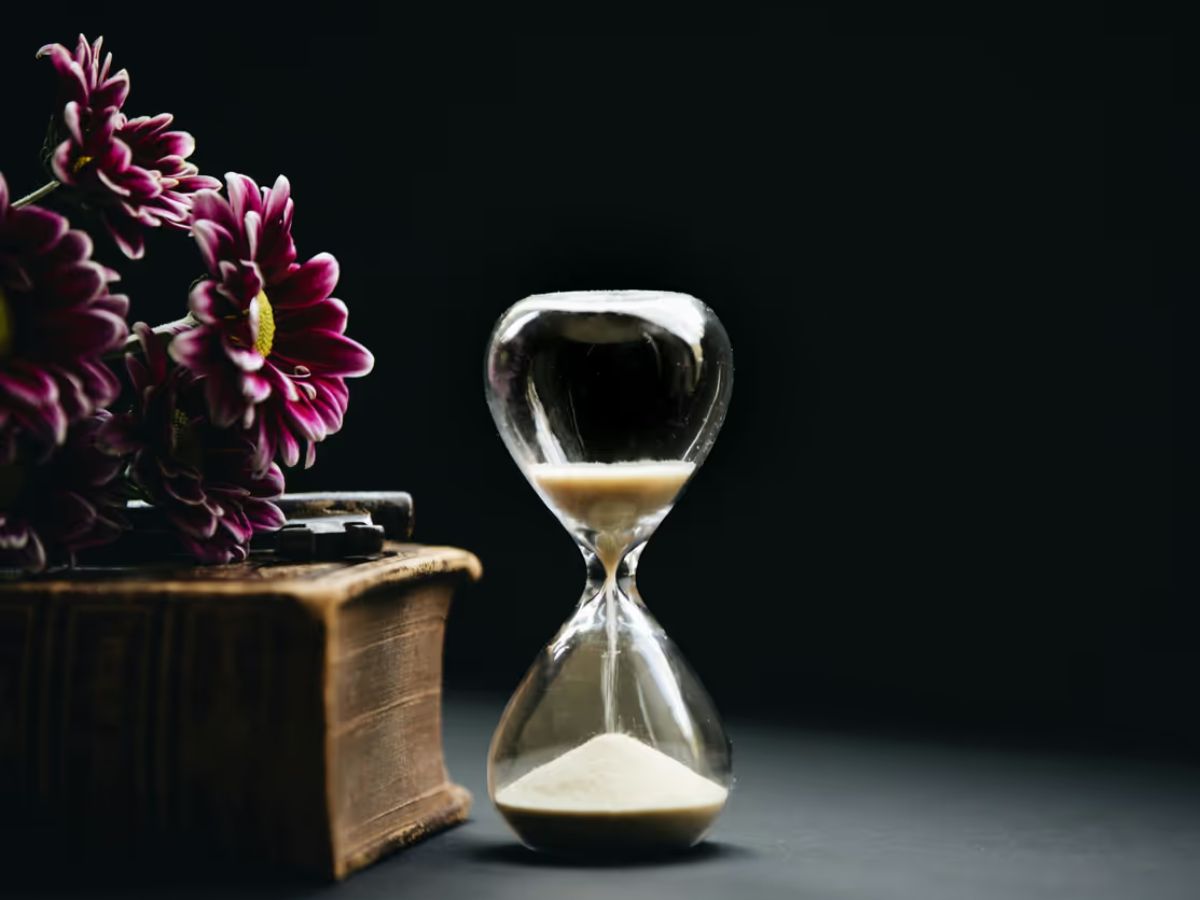 grounded-growth-6-ways-to-stay-balanced-while-climbing-ladder-of-success-in-life-tips-that-work 6 Ways to Stay Grounded While Growing in Life Without Losing Yourself - Photo Gallery
