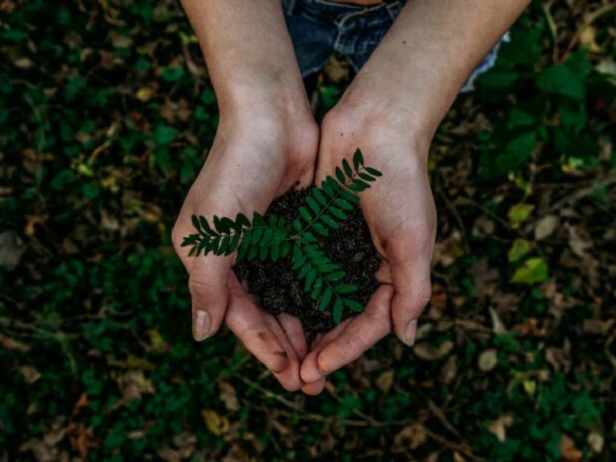 grounded-growth-6-ways-to-stay-balanced-while-climbing-ladder-of-success-in-life-tips-that-work 6 Ways to Stay Grounded While Growing in Life Without Losing Yourself - Photo Gallery
